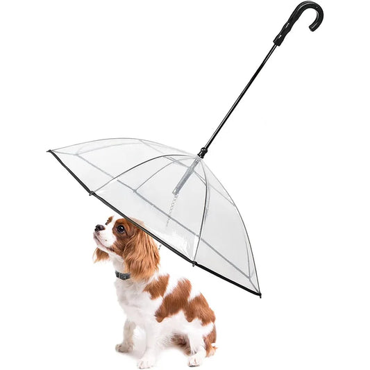 RainPaw - Der Regenschirm mit Hundeleine